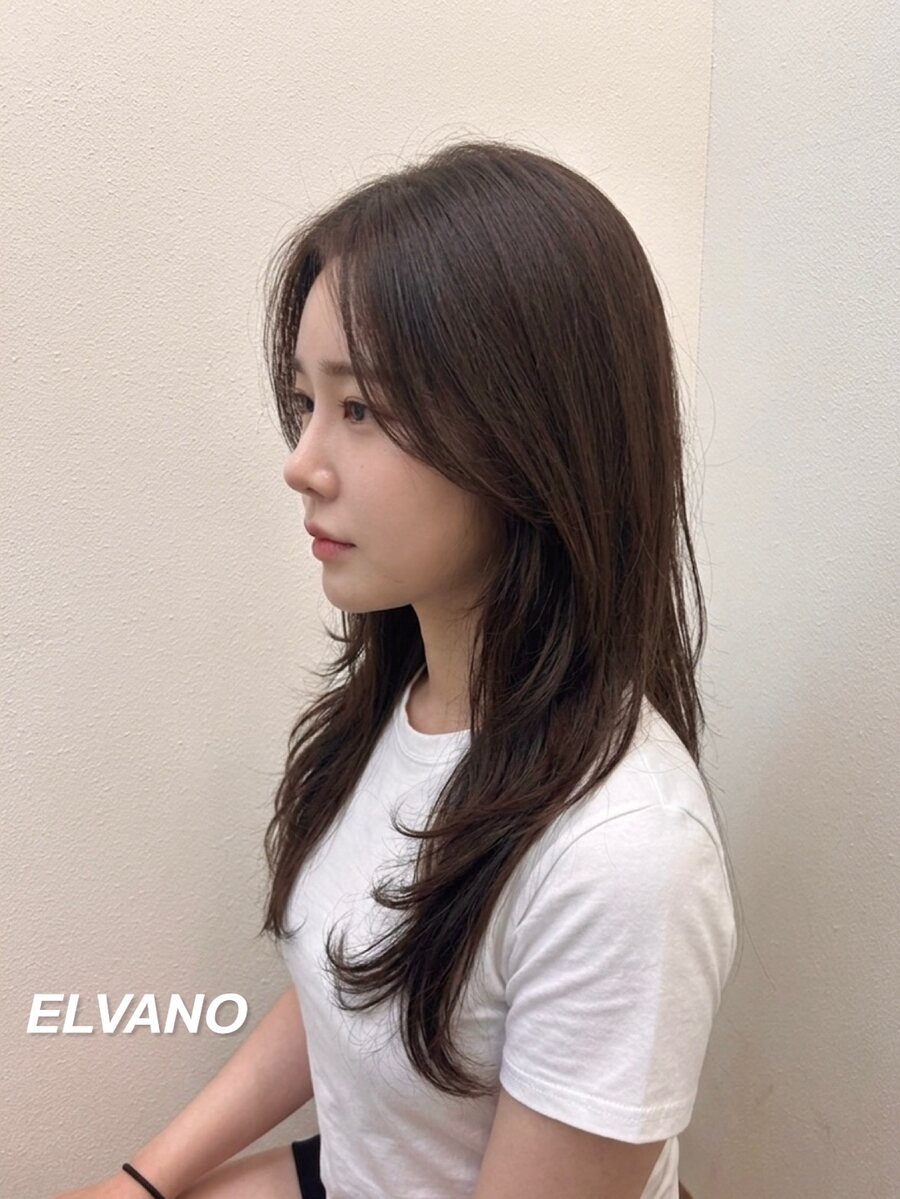 레이어드 컷